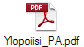 Ylopoiisi_PA.pdf