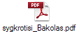 sygkrotisi_Bakolas.pdf