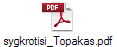 sygkrotisi_Topakas.pdf