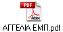  EM.pdf