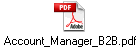 Account_Manager_B2B.pdf
