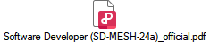 Software Developer (SD-MESH-24a)_official.pdf