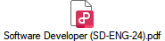 Software Developer (SD-ENG-24).pdf