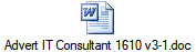 Advert IT Consultant 1610 v3-1.doc