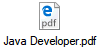 Java Developer.pdf