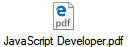 JavaScript Developer.pdf