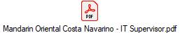 Mandarin Oriental Costa Navarino - IT Supervisor.pdf