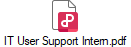 IT User Support Intern.pdf
