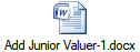Add Junior Valuer-1.docx