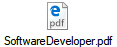 SoftwareDeveloper.pdf