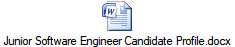 Junior Software Engineer Candidate Profile.docx