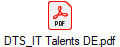 DTS_IT Talents DE.pdf