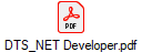 DTS_NET Developer.pdf