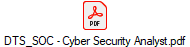 DTS_SOC - Cyber Security Analyst.pdf