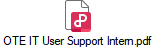 OTE IT User Support Intern.pdf
