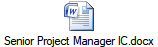 Senior Project Manager IC.docx