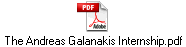 The Andreas Galanakis Internship.pdf
