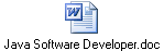 Java Software Developer.doc