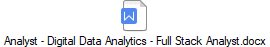 Analyst - Digital Data Analytics - Full Stack Analyst.docx