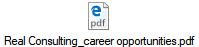 Real Consulting_career opportunities.pdf