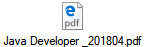 Java Developer _201804.pdf