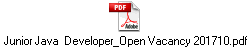 Junior Java  Developer_Open Vacancy 201710.pdf