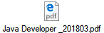 Java Developer _201803.pdf
