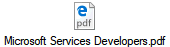Microsoft Services Developers.pdf