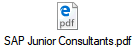 SAP Junior Consultants.pdf