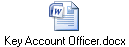 Key Account Officer.docx