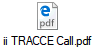 ii TRACCE Call.pdf
