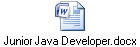 Junior Java Developer.docx