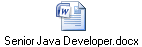 Senior Java Developer.docx