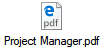 Project Manager.pdf