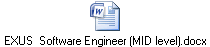 EXUS  Software Engineer (MID level).docx