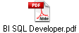 BI SQL Developer.pdf