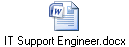 IT Support Engineer.docx