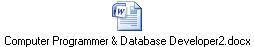 Computer Programmer & Database Developer2.docx