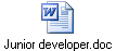 Junior developer.doc