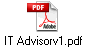 IT Advisorv1.pdf