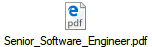 Senior_Software_Engineer.pdf