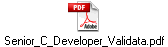 Senior_C_Developer_Validata.pdf