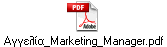 _Marketing_Manager.pdf