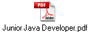Junior Java Developer.pdf