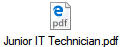 Junior IT Technician.pdf