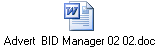 Advert  BID Manager 02 02.doc