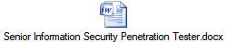 Senior Information Security Penetration Tester.docx