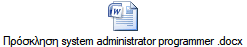  system administrator programmer .docx