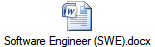Software Engineer (SWE).docx