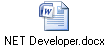 NET Developer.docx